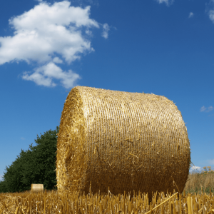 Bale Net Wrap
